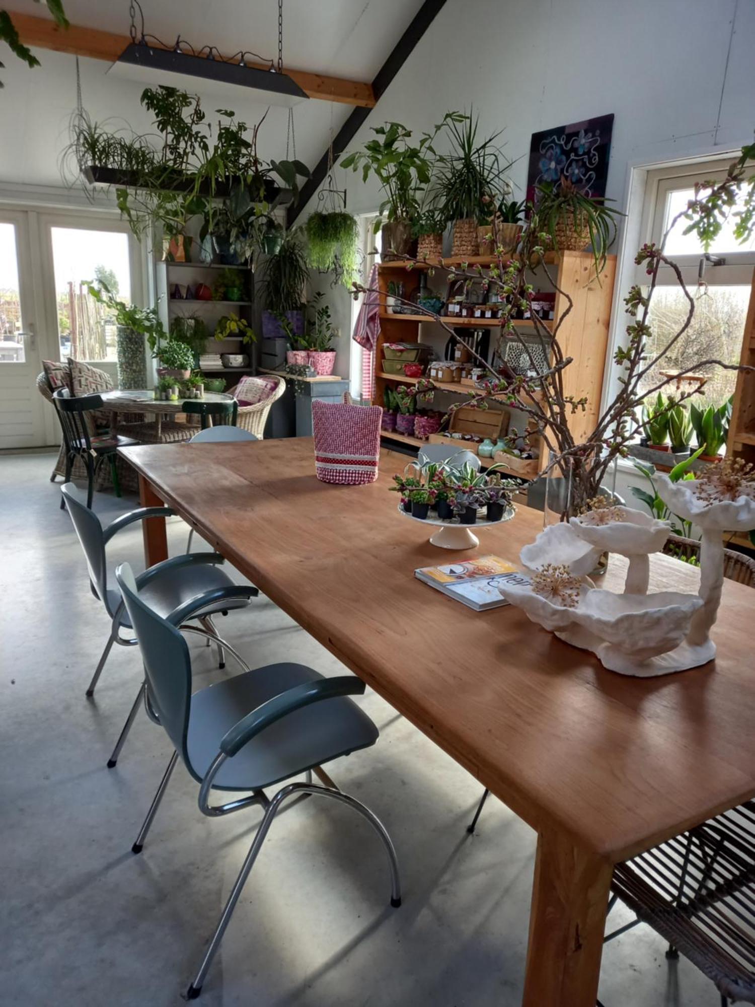 B&B Aan De Fjildwei Rinsumageest Extérieur photo